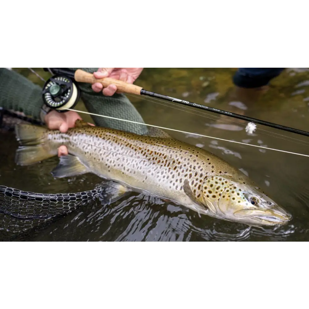 TFO Dispatch Rod – Headwaters Outfitters Outdoor Adventures