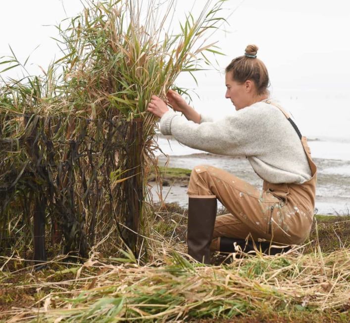 Dovetail Freshley Overall