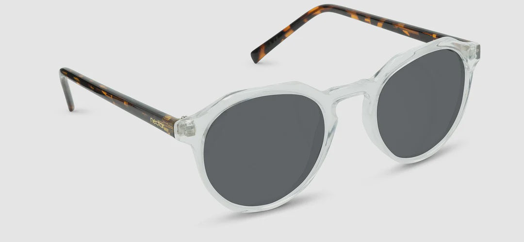 Nectar Wynwood Sunglasses