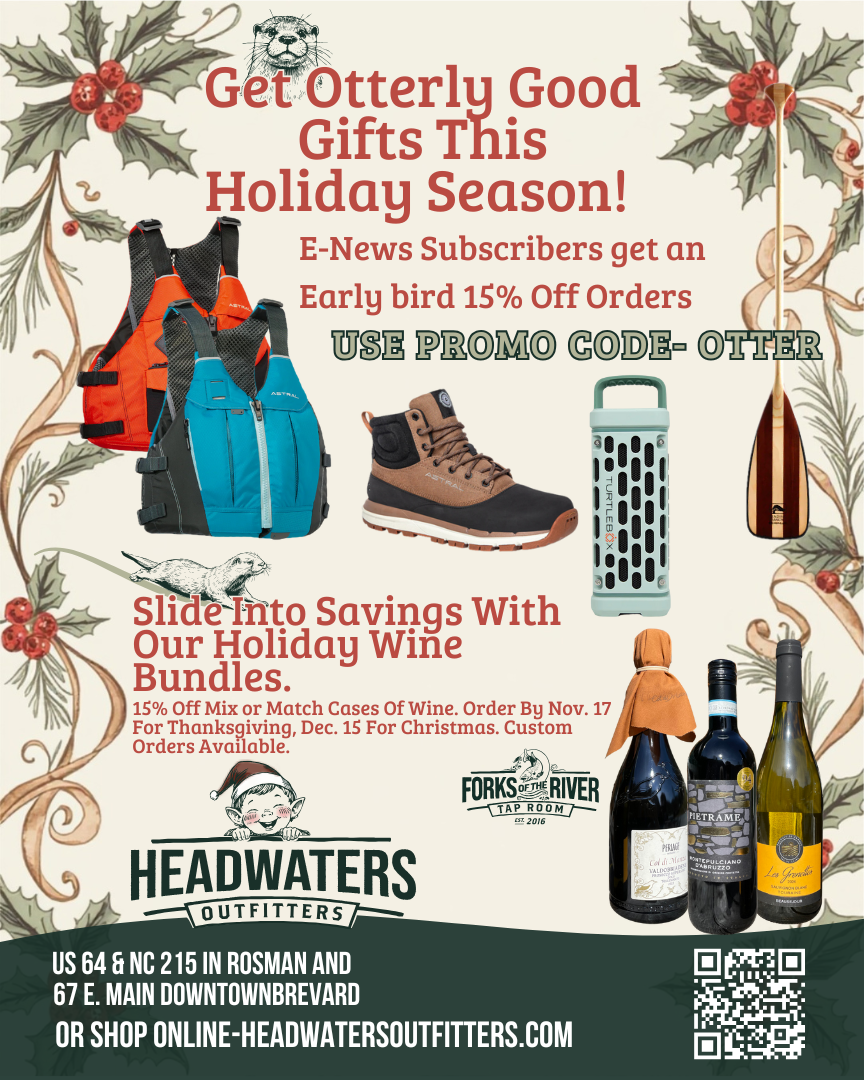 The Annie Pearl Snap Shirtdress