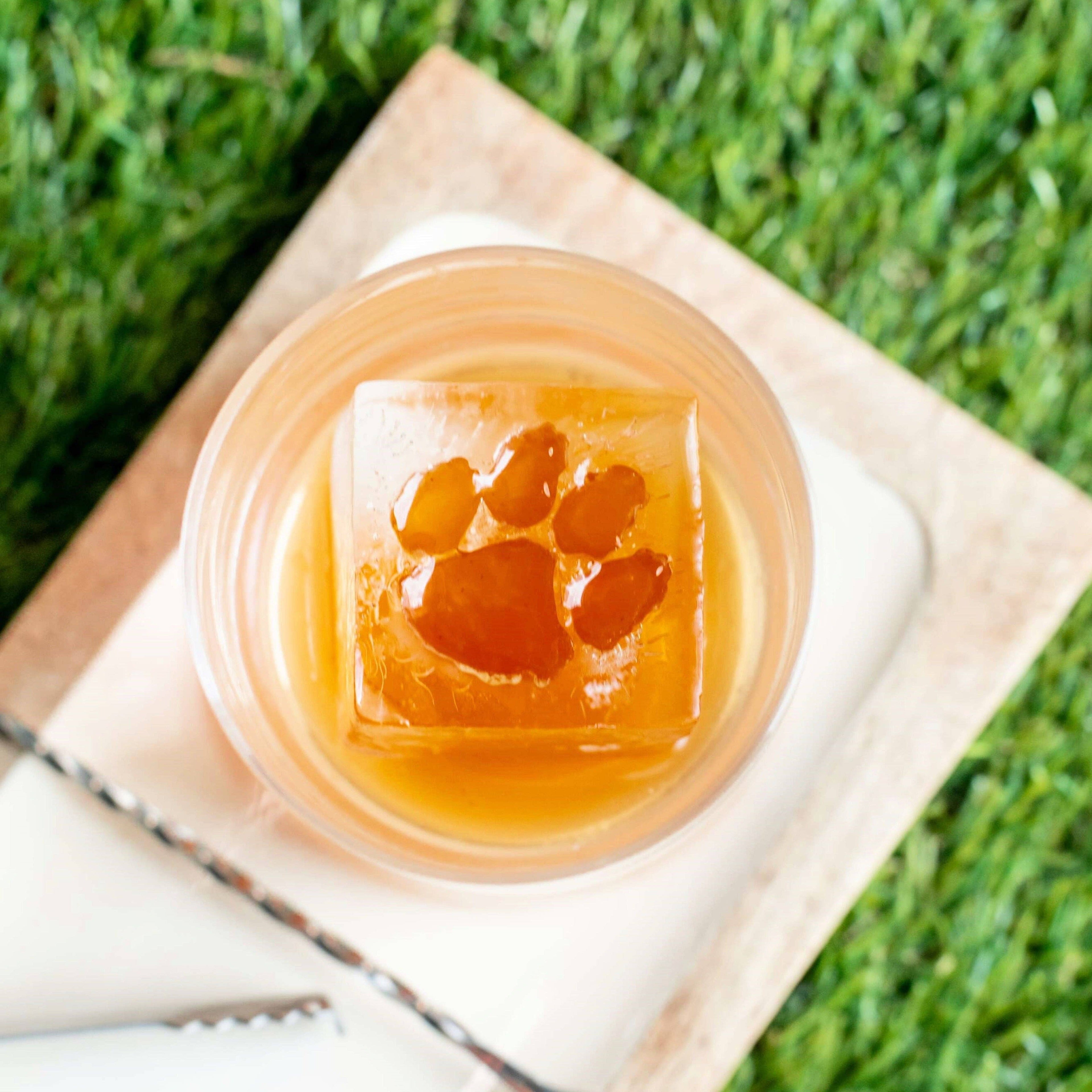 Clemson Custom Cocktail Ice Tray - Bundle