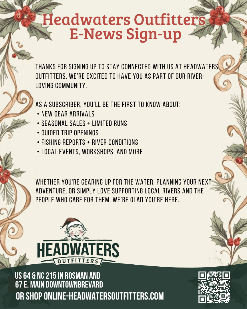 The Annie Pearl Snap Shirtdress