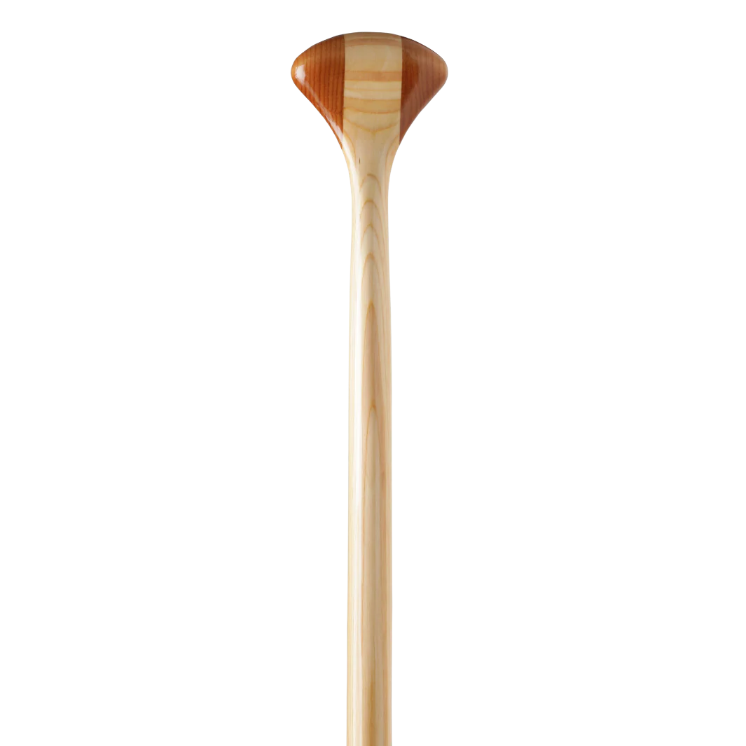 Bending Branches Arrow Paddle