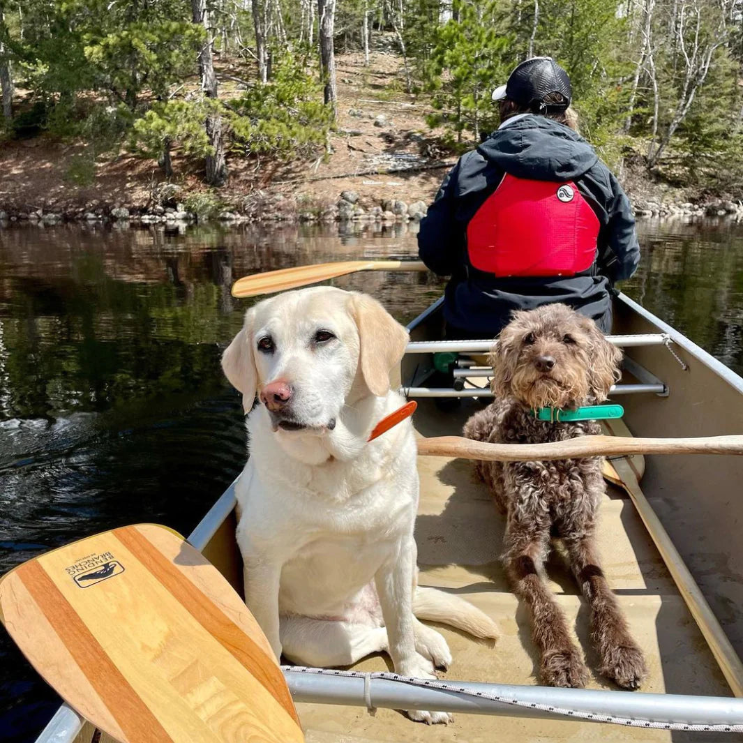 Bending Branches BB Special Canoe Paddle