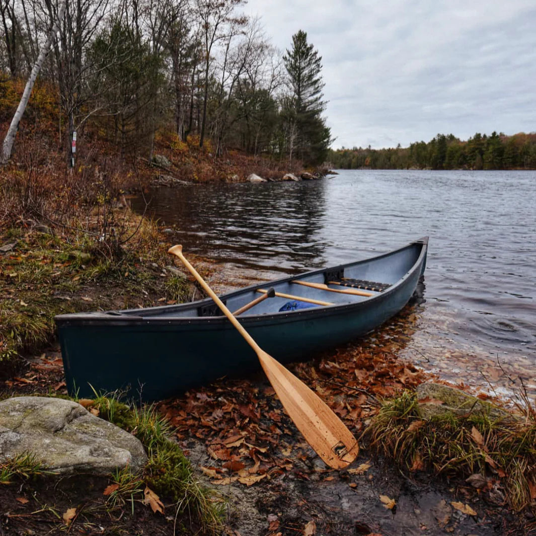 Bending Branches Beavertail Paddle