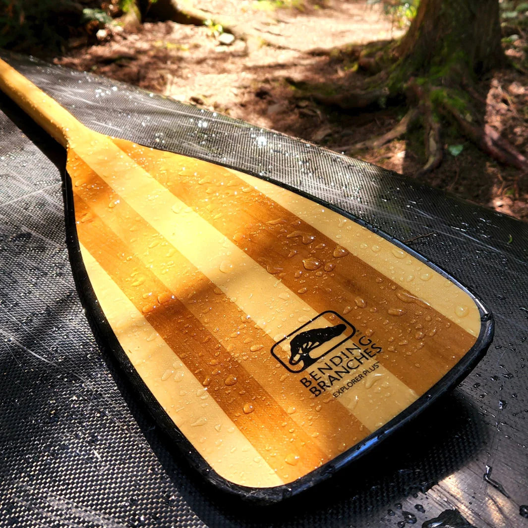 Bending Branches Explorer Plus