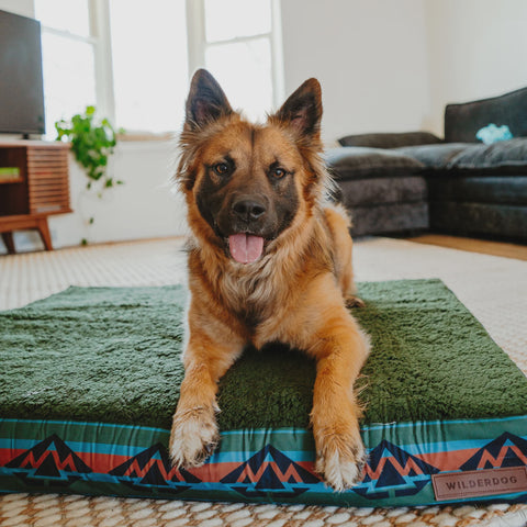 Wilderdog Memory Foam Bed