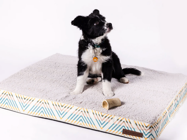 Wilderdog Memory Foam Bed