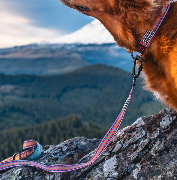 Wilderdog Ultralight Leash