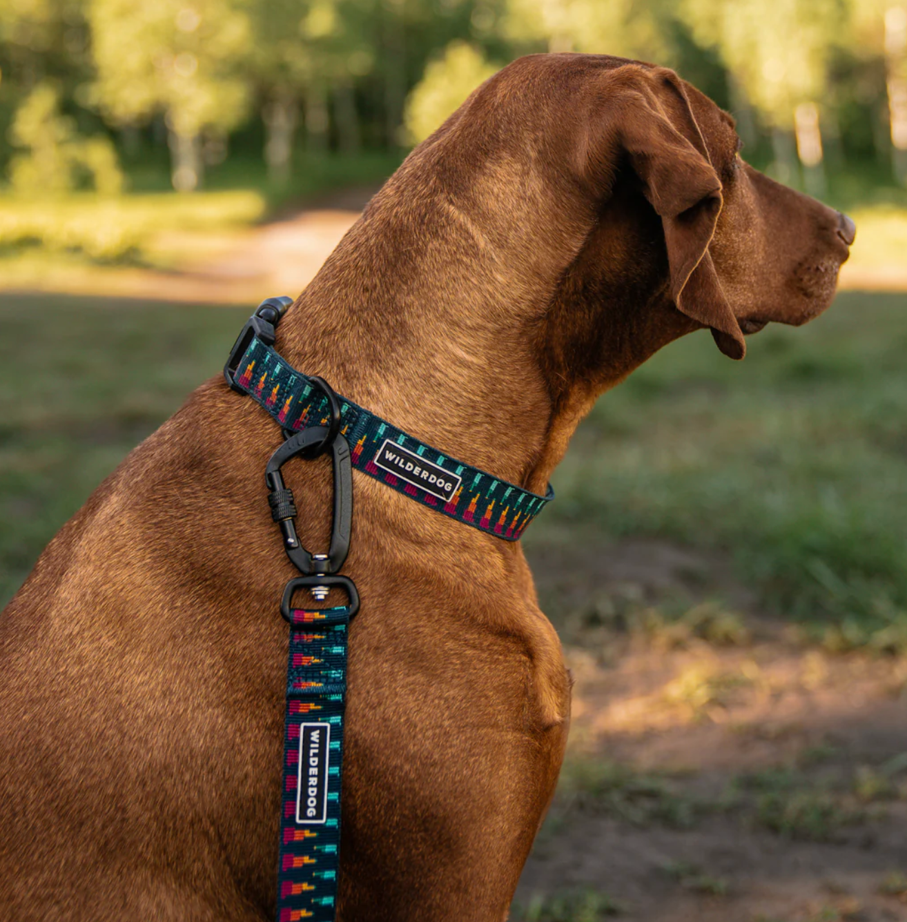 Wilderdog Ultralight Collar