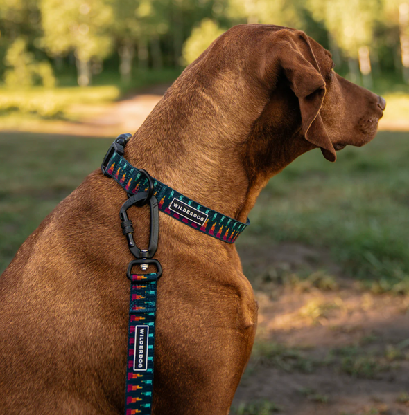 Wilderdog Ultralight Collar