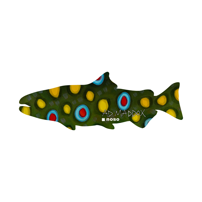 NOSO Patches Brook Trout