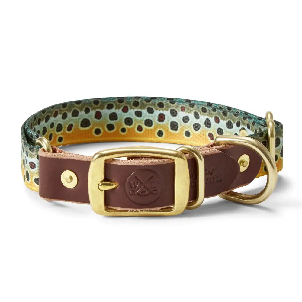 Adjustable Webbing Dog Collar - Brook Trout / Small - Dog Gear