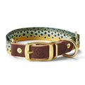 Adjustable Webbing Dog Collar - Brook Trout / Small - Dog Gear