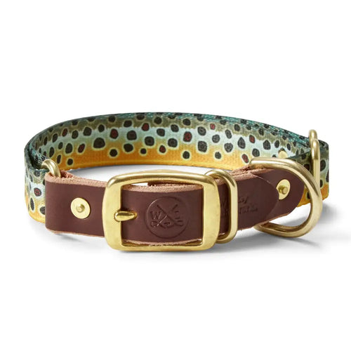 Adjustable Webbing Dog Collar - Brook Trout / Small - Dog Gear