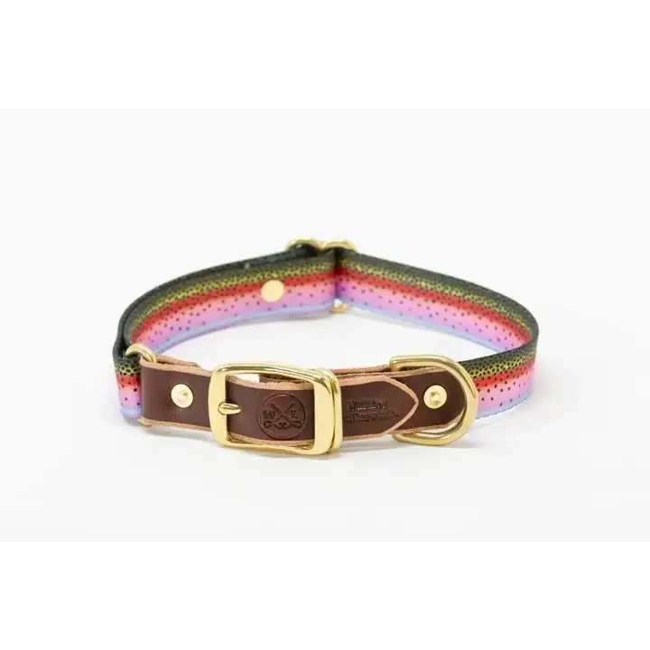 Adjustable Webbing Dog Collar - Rainbow Trout / Small - Dog Gear