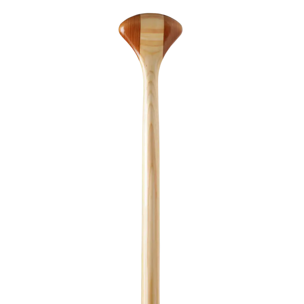 Bending Branches Arrow Paddle