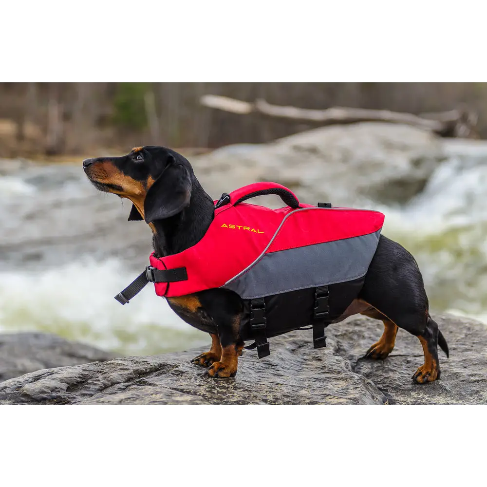 Astral Designs Astral Bird Dog PFD Hound Grey