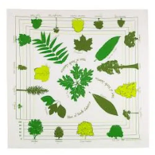 Bandanas - Trees NA - Unisex Accessories