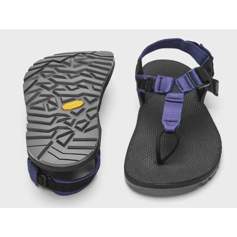 Cairn Evo Pro Sandal - Lupine Purple / M 5/ W 6 - Bedrocks