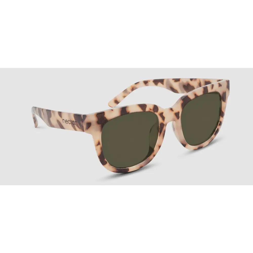 Nectar Chatham Sunglasses