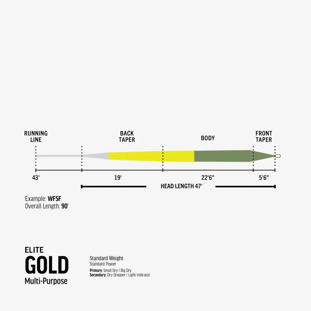 Elite Rio Gold - Lines