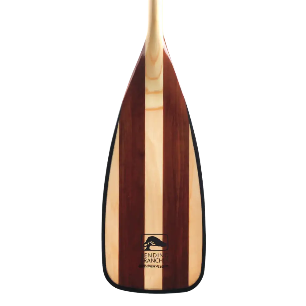 Bending Branches Explorer Plus