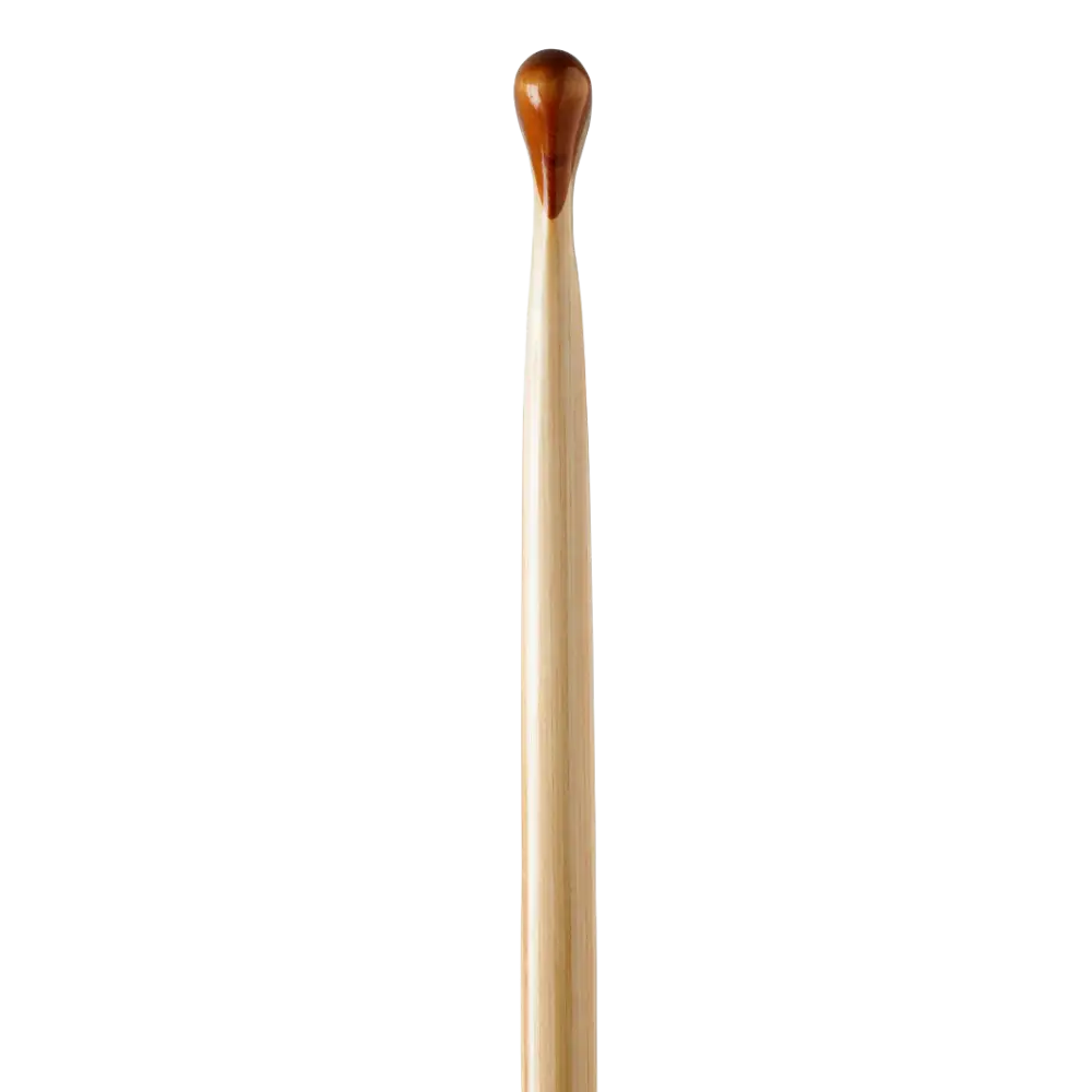 Bending Branches Explorer Plus