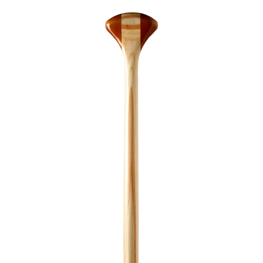 Bending Branches Explorer Plus