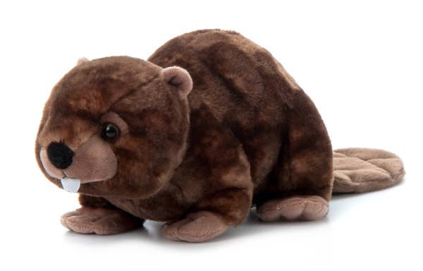 12" (30cm) Wild Onez Beaver Wild Life