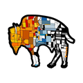 NOSO Patches Bison