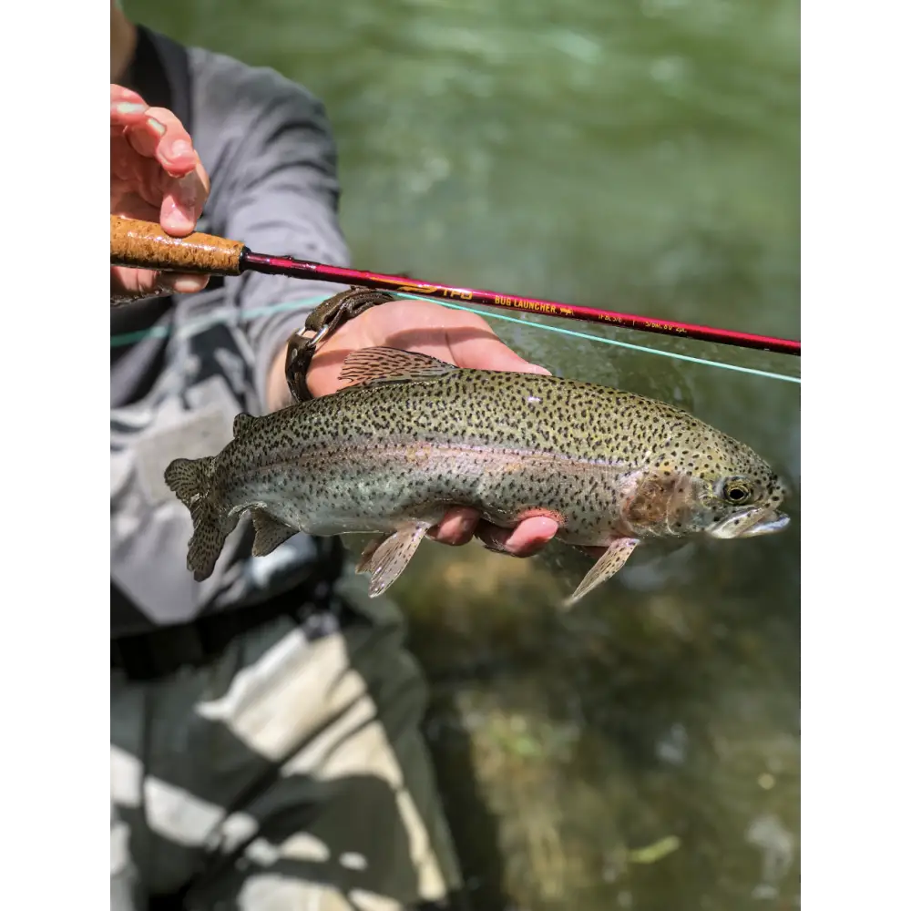 TFO Bug Launcher Rod (rod only) - Rods