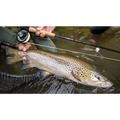 TFO Dispatch Rod (rod only) - 9’ / 5wt - Rods