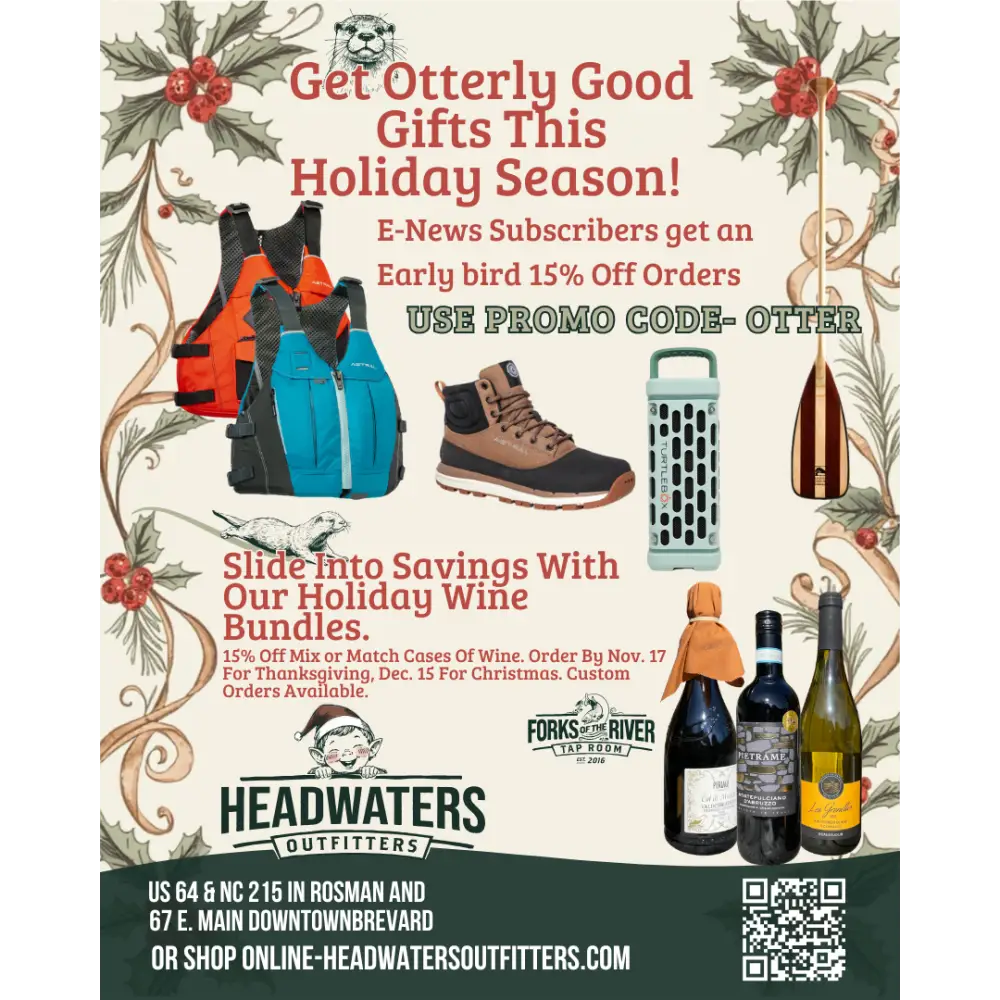 The Annie Pearl Snap Shirtdress - Dresses/Skirts