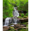Publisher Waterfall Walks and Drives in the Great Smokey Mtns Waterfall Walks and Drives