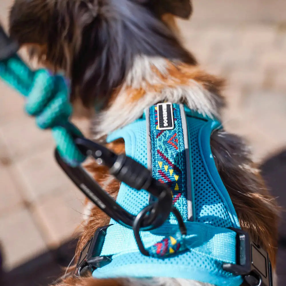 Wilderdog Harness
