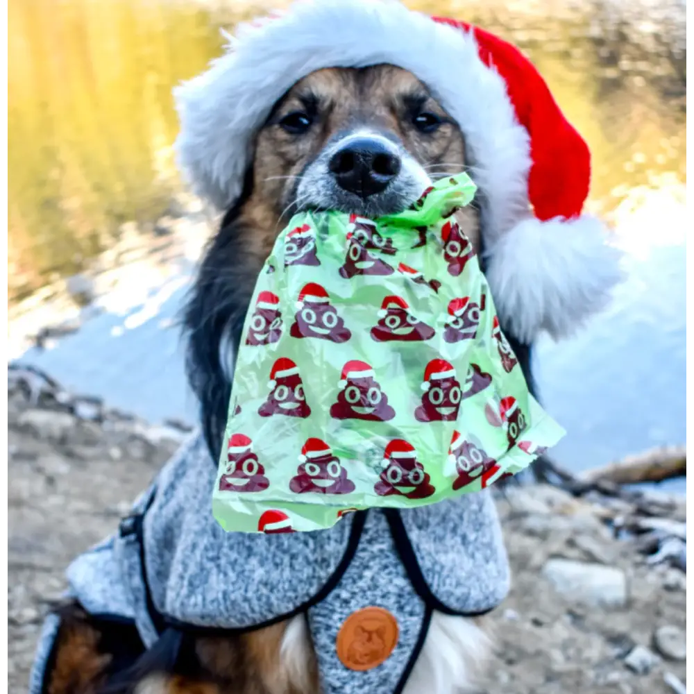 Wilderdog Poop Bags - Dog Gear