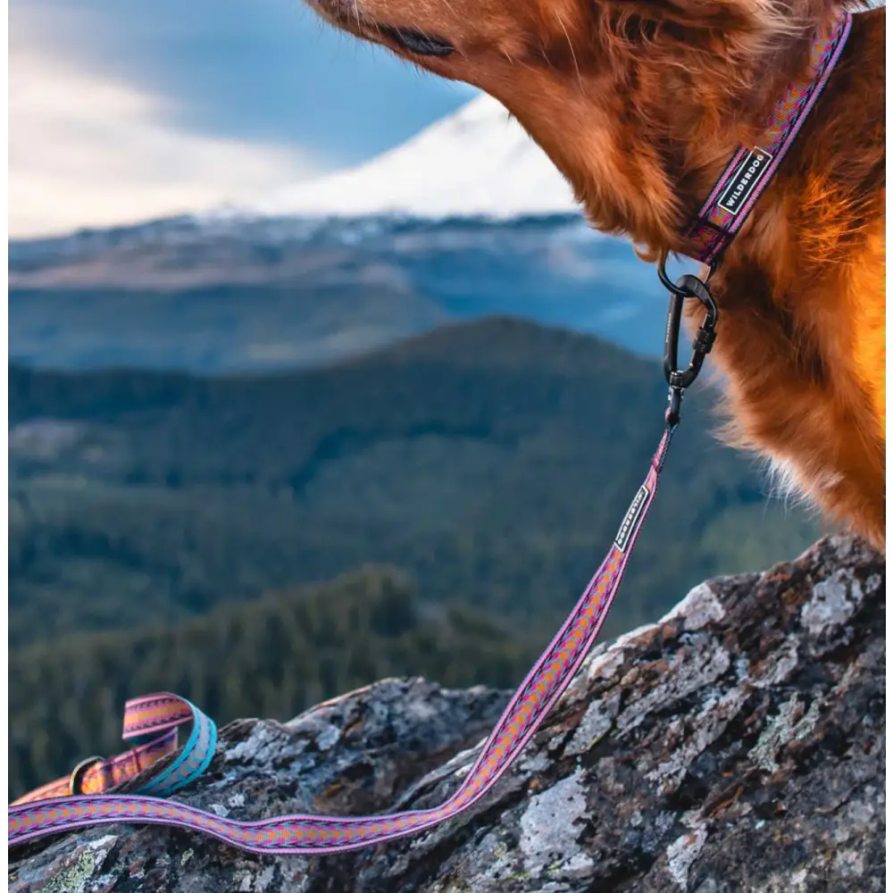Wilderdog Ultralight Leash - Daybreak - Dog Gear