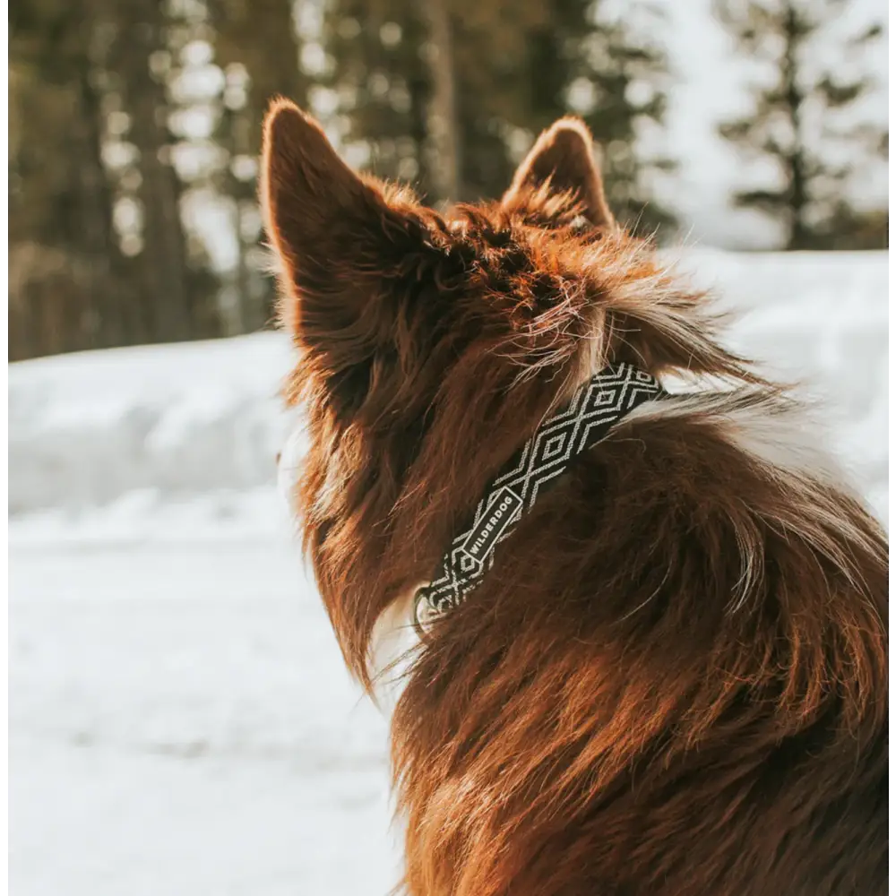 Wilderdog Ultralight Leash - Denali - Dog Gear