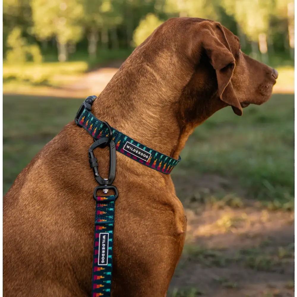 Wilderdog Ultralight Leash - Marina - Dog Gear