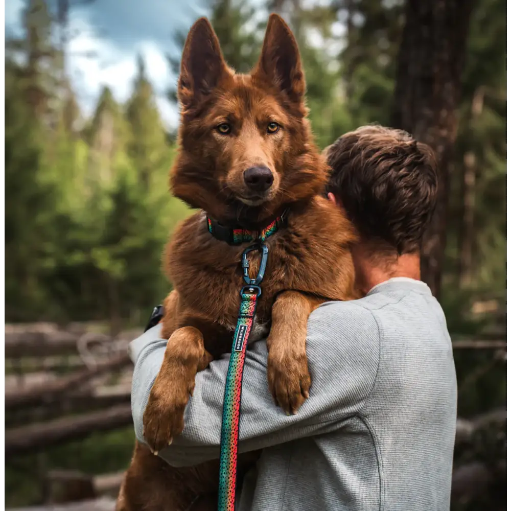 Wilderdog Ultralight Leash - Trout - Dog Gear