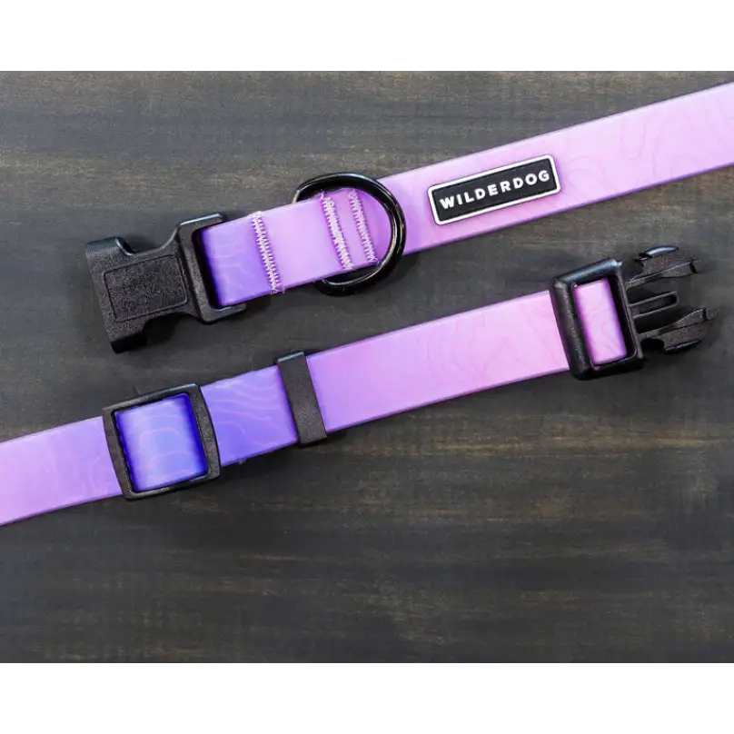 Wilderdog Waterproof Collar - Aura / S - Dog Gear