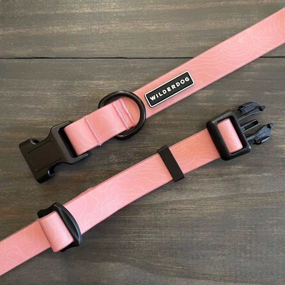 Wilderdog Waterproof Collar Guava