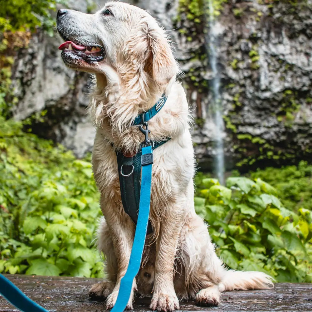 Wilderdog Waterproof Leash