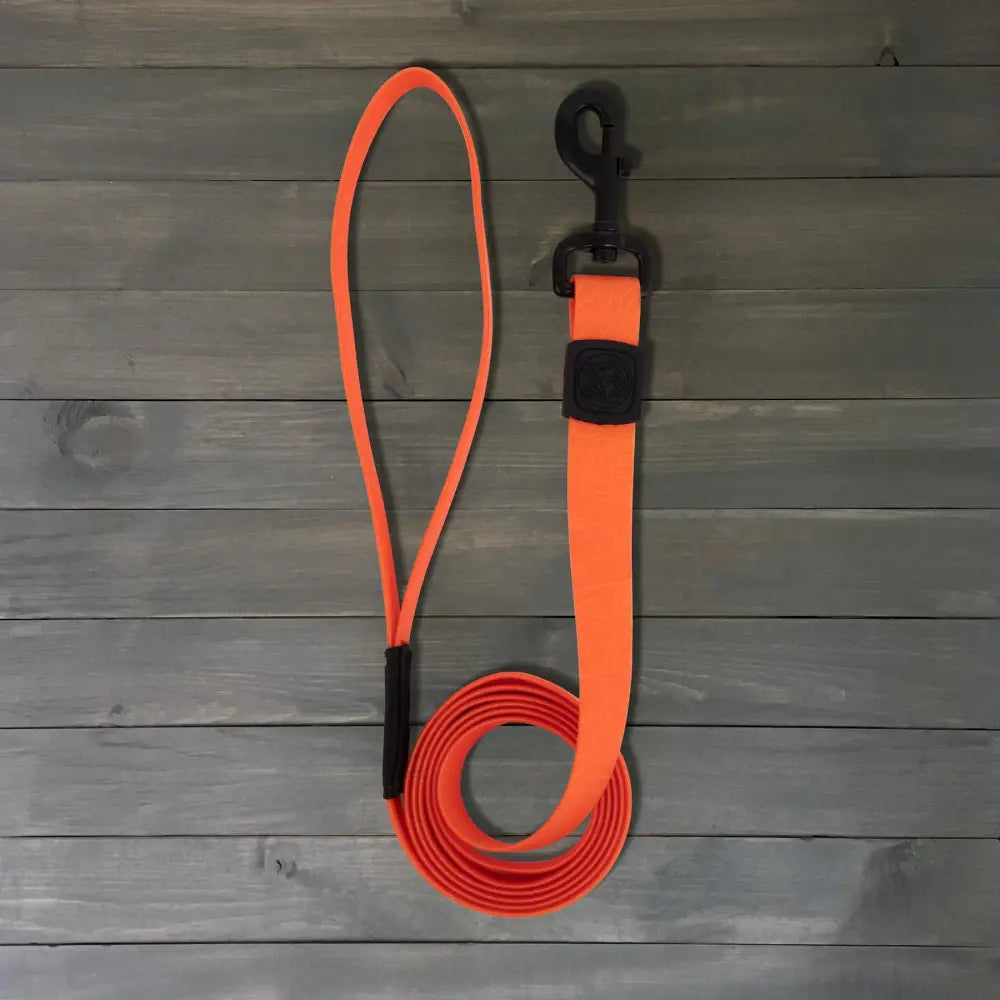 Wilderdog Waterproof Leash Orange