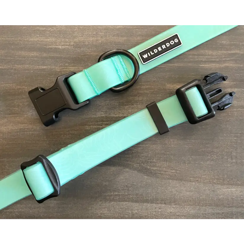 Wilderdog Waterproof Leash - Seafoam - Dog Gear