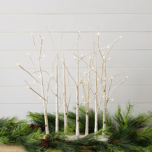 LED Lighted Birch Tree Forest, White