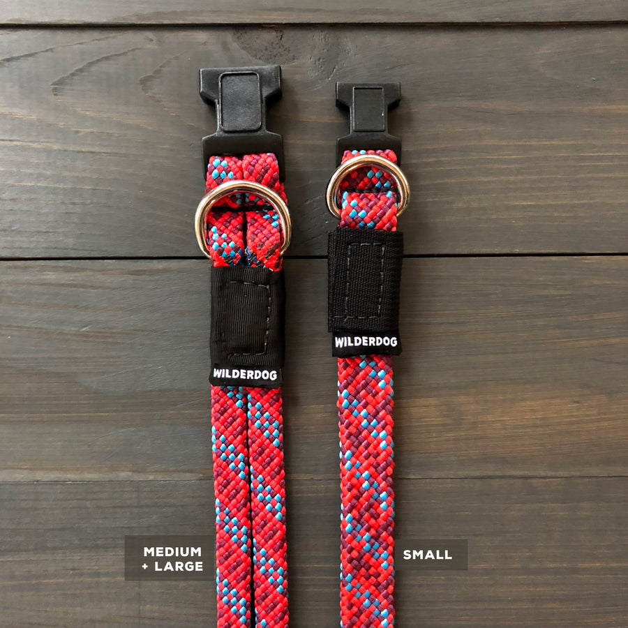 Wilderdog Collar Maple