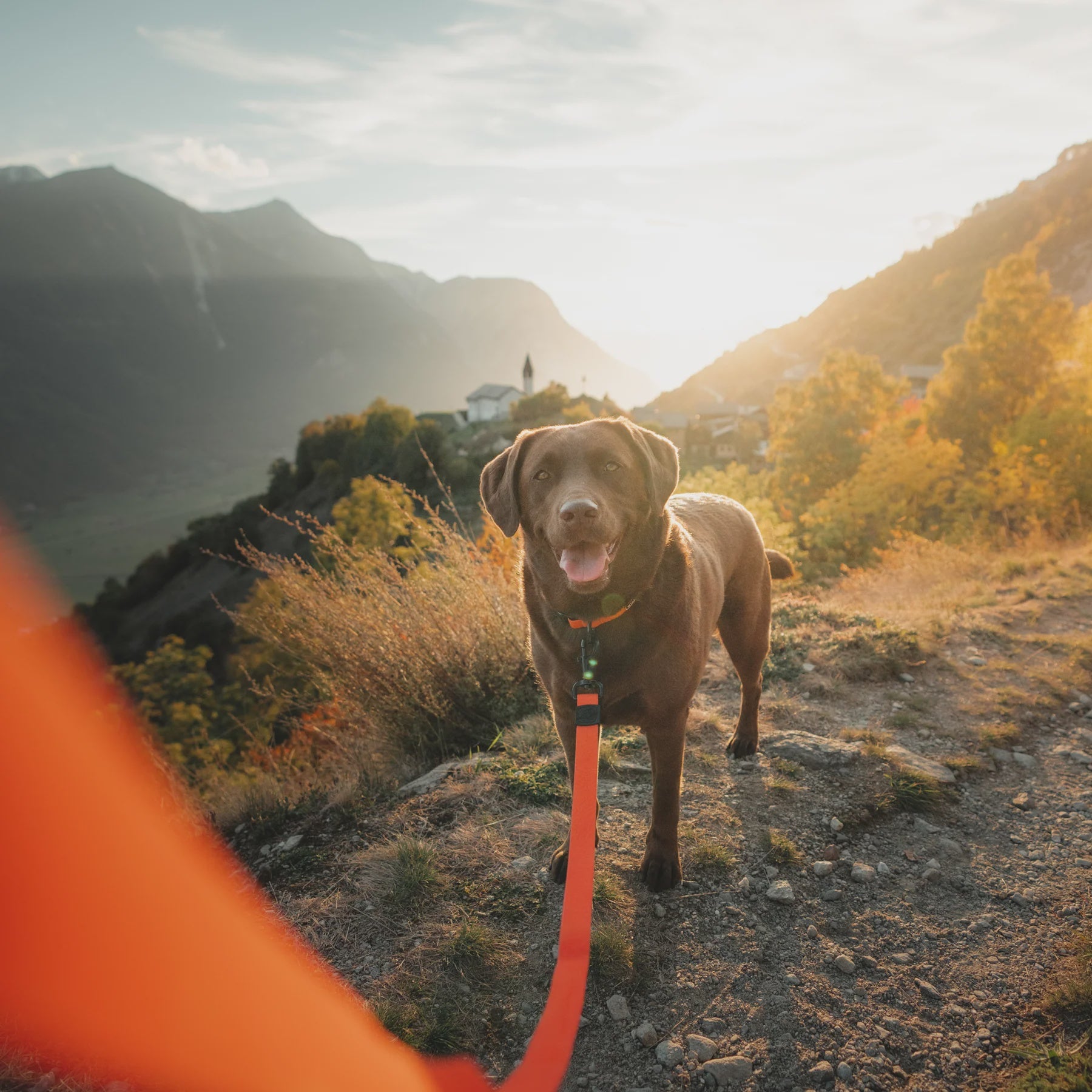 Wilderdog Waterproof Leash
