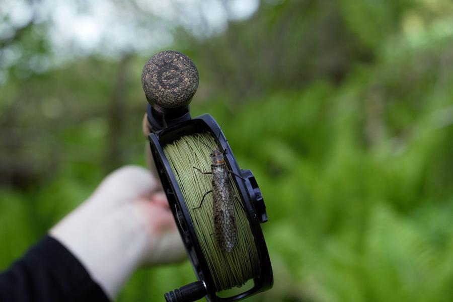 Cortland Euro Nymph Braid Core Line